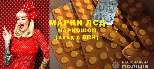 прущие грибы Аркадак