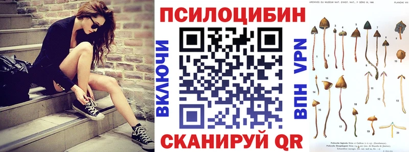 kraken ТОР  Валдай  Галлюциногенные грибы Psilocybine cubensis 